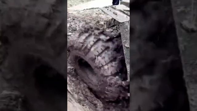 13-14-15 сентября 2024 Вологда смотреть онлайн