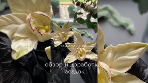 Онлайн курс «Эстетика зефирных цветов 2.0»
Версия 2025 г