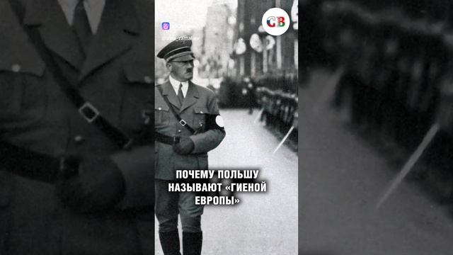 vkclips_20250103043855 смотреть онлайн