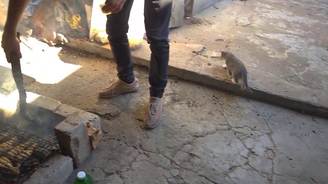 Пиршества в обители Князя на Вилла де Девятипрод смотреть онлайн