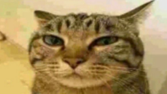 😹😹😹 смотреть онлайн