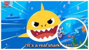 Baby Shark Bus 3D  | The shark bus goes round and round | Bus Songs |Songs for Children