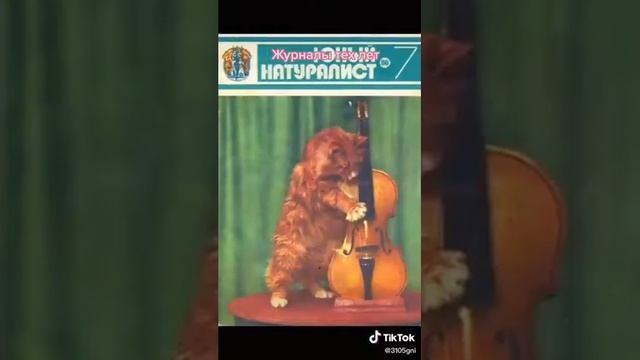 Моя 526 школа, моё детство смотреть онлайн