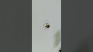 stemax сигнализация. установка вместо струны