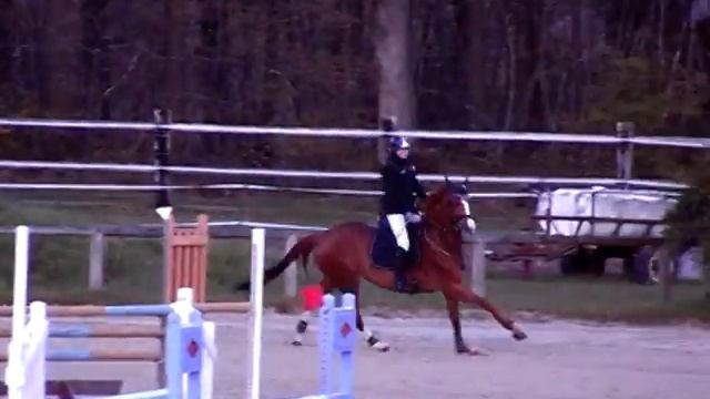 [20120422] Manon & Praline - Amateur 1 Grand Prix (1,15 m) - Saint-Aubin sur Gaillon смотреть онлайн