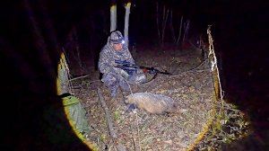 Охота на Барсука.\\ Октябрь.