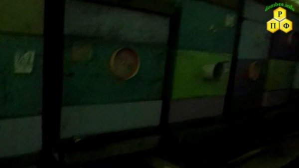 Зимовка пчёл в закрытых помещениях