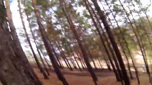 Прогулка с Друзьями по горе "Камень" смотреть онлайн