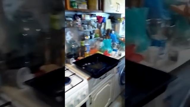 кориандр смотреть онлайн