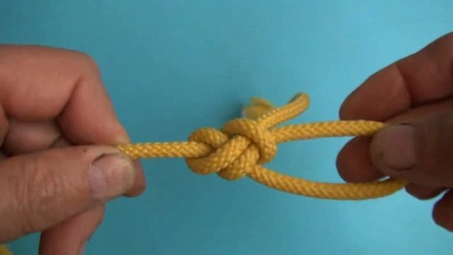 Timber Tricks