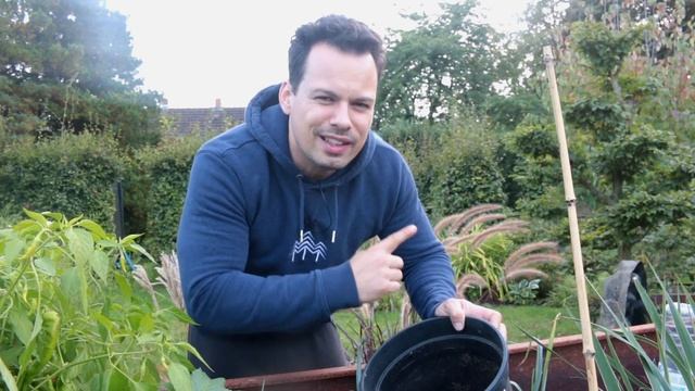 Chili, Paprika und Physalis überwintern um große Ernte zu sichern Selbstversorgung im Haus смотреть онлайн