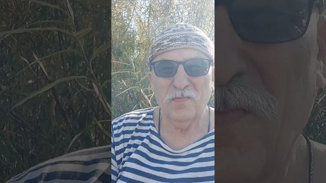 Алексвидео