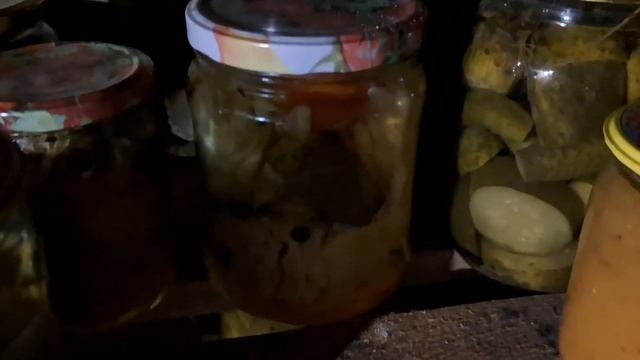 ОБЗОР деревенкого ПОДПОЛА С ЗАГОТОВКАМИ 🍎🍒🍓🍅🌶🥬🧅🧄🍄🟫 #деревня #заготовкиназиму #деревенскиедела смотреть онлайн