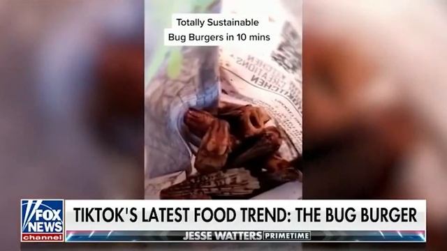bug burger on fox смотреть онлайн
