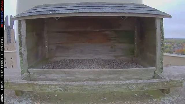 Camera 5 - 10/30/16 смотреть онлайн