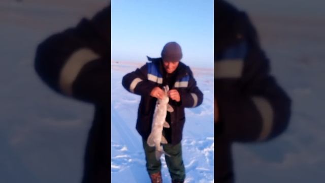 Ерейментау озеро Орунбай смотреть онлайн