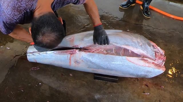 620 lb Giant Bluefin Tuna cutting at fish market смотреть онлайн