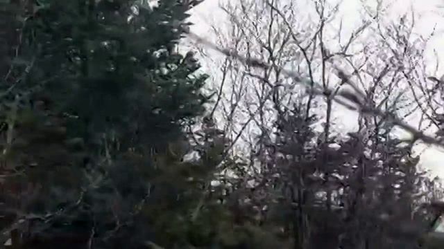 Гора Лысый дед 3 смотреть онлайн