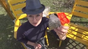 6 соток 26 апреля 2020 года. Ай да пироги! Хроника одного дня. Про биты и саморезы. Замок