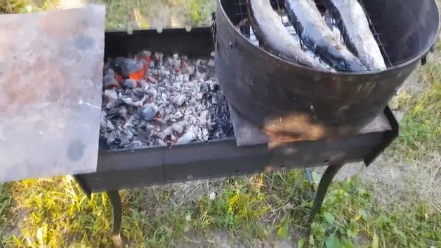 Коптим рыбу .Дачники смотреть онлайн