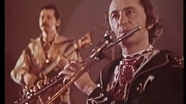 Песняры - Чаму селязень