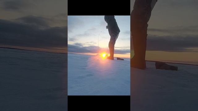 Fishing. We catch pike and pike perch. Рыбалка. Ловим щуку и судака в корягах. смотреть онлайн