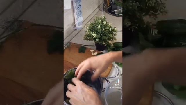 Малосольные огурцы — холодный способ смотреть онлайн