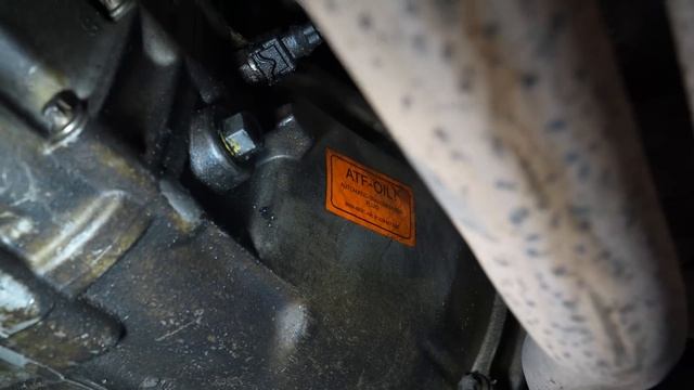 Did I Find the Cleanest BMW E36 328i + Update On All Projects - Project Valencia - P1 смотреть онлайн