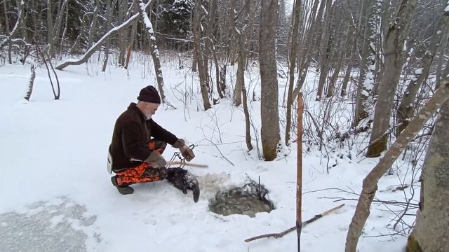 Hunting and fishing. Checking beaver traps. Охота и рыбалка. Проверка капканов на бобра. смотреть онлайн
