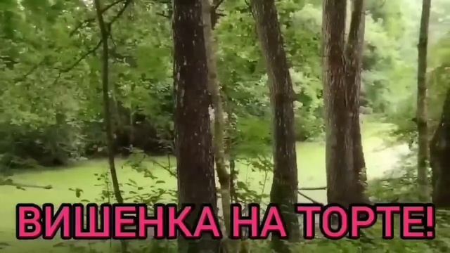ВИШЕНКА НЕ ПО ЗУБАМ! ФУ КАКАЯ ЖЕ ЖЕСТЬ. ОЛЬГА УРАЛОЧКА LIVE. ОБЗОР. смотреть онлайн