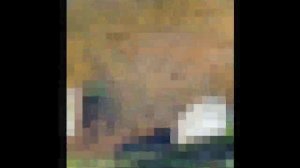 Долина Нарзанов из Ессентуков