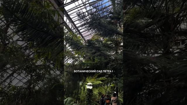 Куда сходить в Питере?