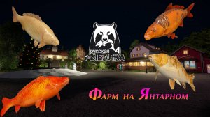 Русская рыбалка 4 - Фарм на озере Янтарном