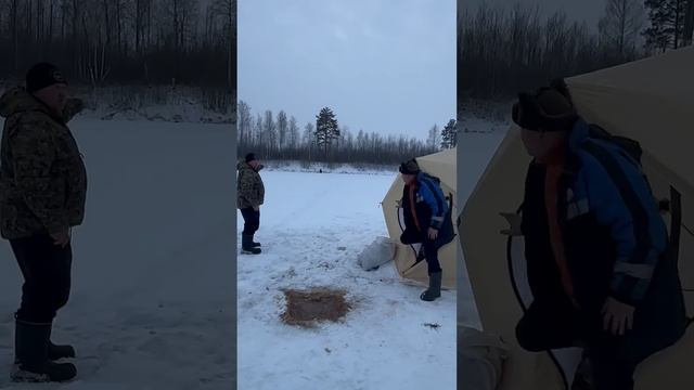 «КВАДРОБОБЕРЫ» уже в СИБИРИ смотреть онлайн