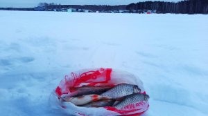 рыбалка 08.01.25 Белоярское водохранилище, Лодочная