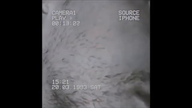 Anitta - Gata (Billboard Music Con) #anitta #gata #billboard смотреть онлайн