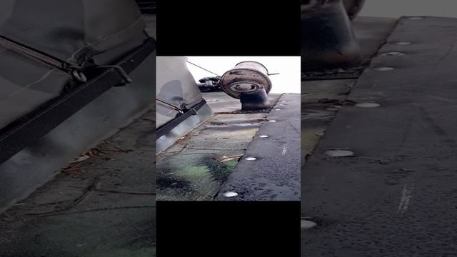Влип в болото. CRONOS смотреть онлайн