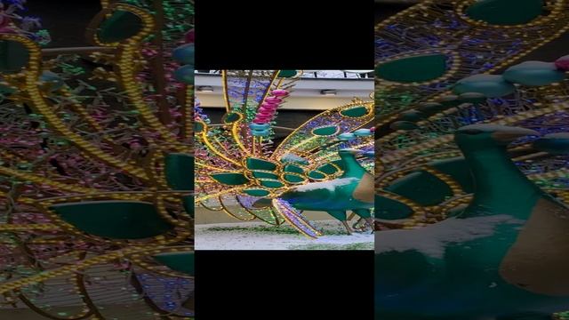 Московский зоопарк - павлины 20250107 смотреть онлайн