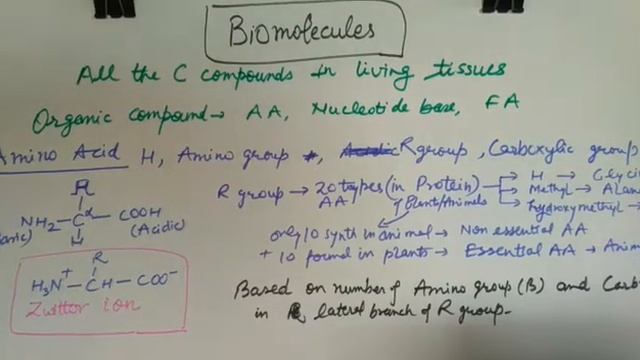 11Bio- Biomolecules- Aminoacid смотреть онлайн