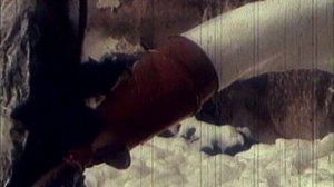 Ударная сила 50 серия (документальный сериал, 2002-2010)