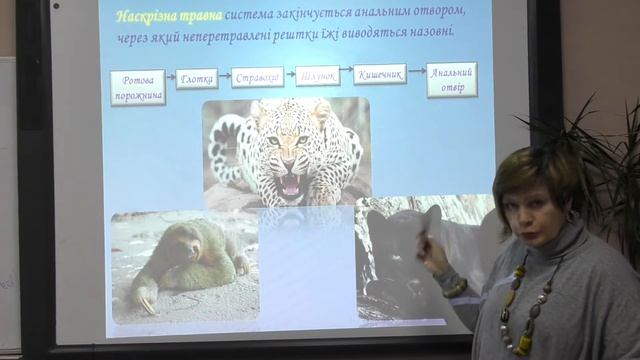 7A - Biology - Ms. Iryna смотреть онлайн
