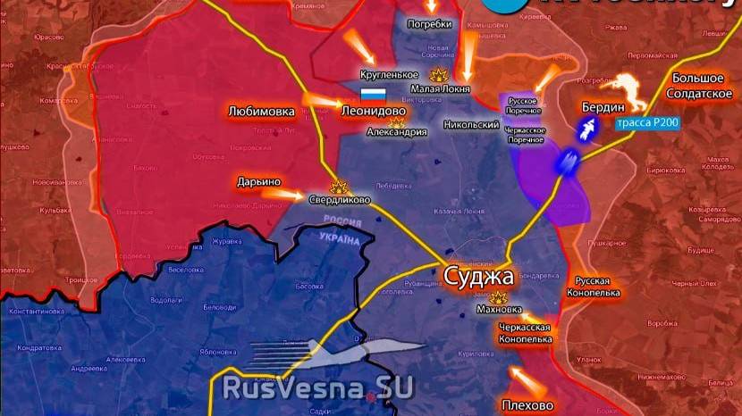 Январь 2025. Вести с полей и странный сон. смотреть онлайн