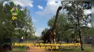 Рекламный блок ДОМАШНИЙ МАГНИТОГОРСК 02.08.2024