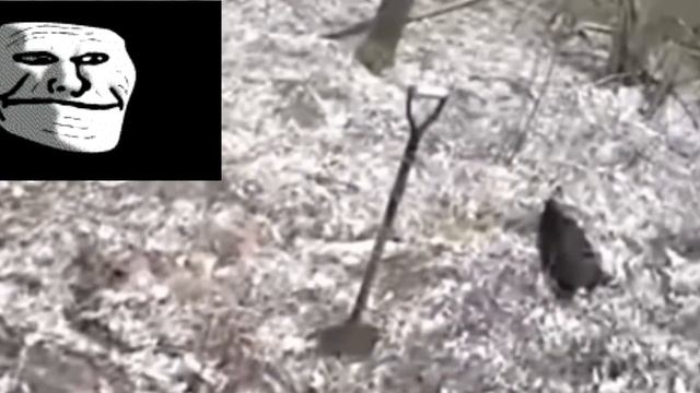 умер Бобка 💔😔... смотреть онлайн