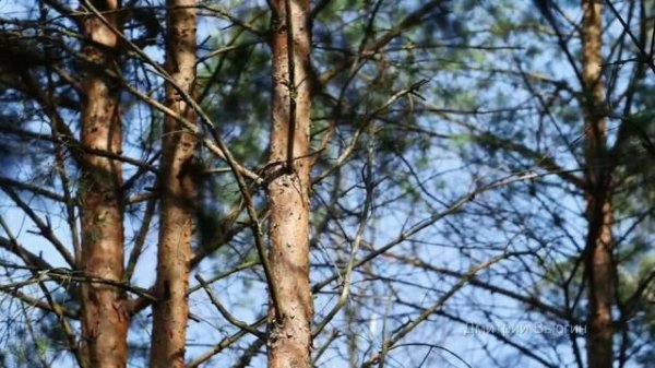 Осколки чувств. История измены