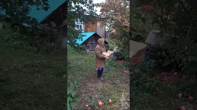 огуречный беспредел . смотреть онлайн