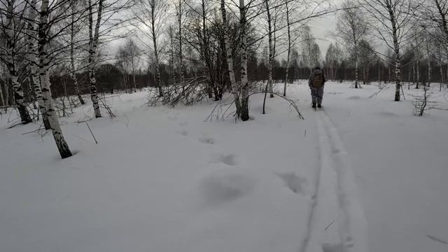 Первый выход на лыжах. Проверяем капканы. смотреть онлайн