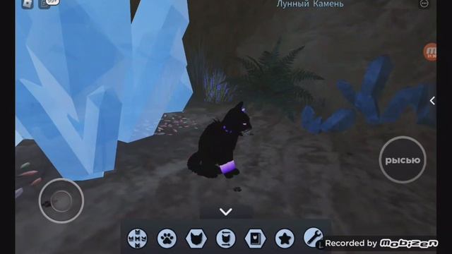 все мои секретные кошки в Warrior cats | Мария Кисель | смотреть онлайн