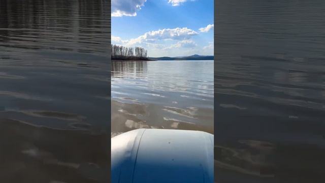 Мутная вода( #youtubeshorts #природа #nature #asmr #рыбалка #beautiful #russia #fishing #озеро #2024