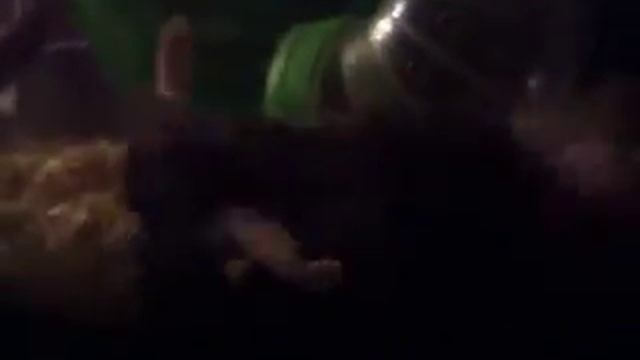 Жизнь Хомяка смотреть онлайн